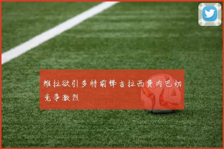 维拉欲引多特前锋吉拉西费内巴切竞争激烈